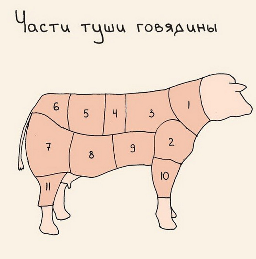 Полезное в картинках: про мясо