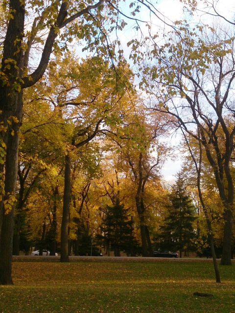 Winnipeg fall 1